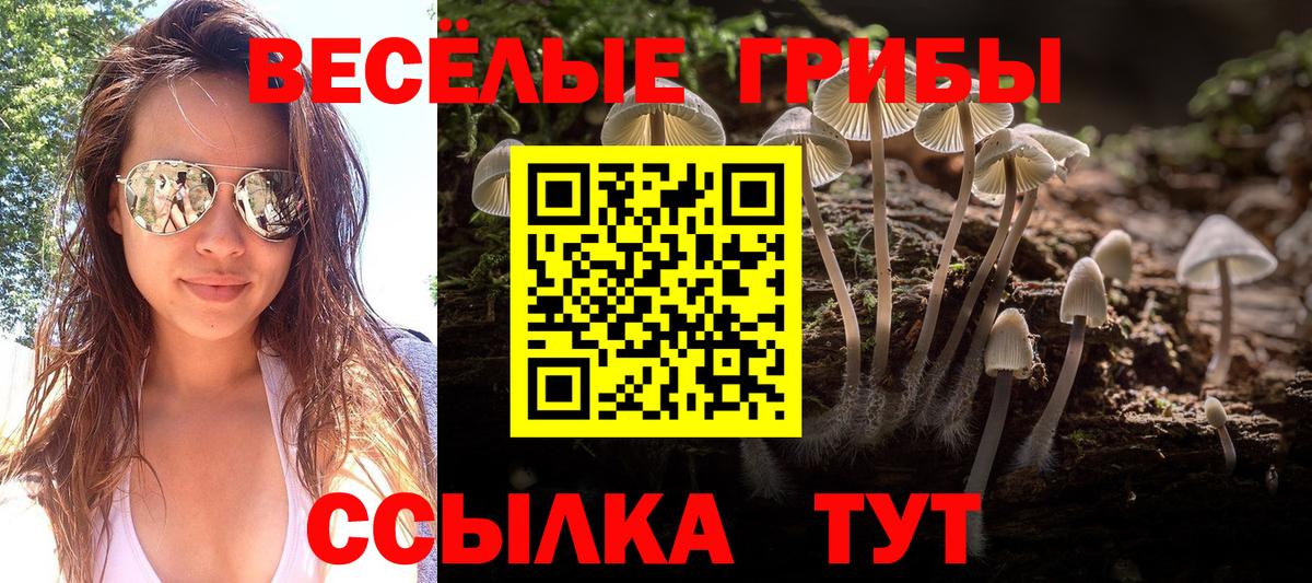 Дивногорск  Галлюциногенные грибы Magic Shrooms  Вход с VPN  что такое наркотик  Псилоцибиновые грибы GOLDEN TEACHER 