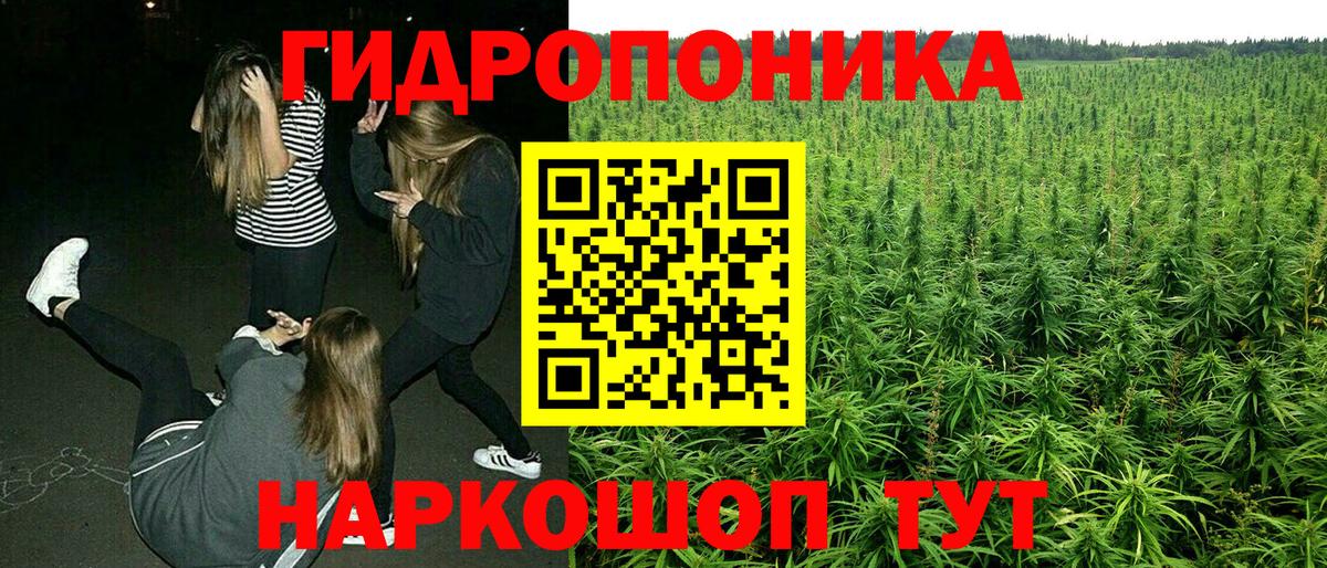 Шишки марихуана марихуана Дивногорск